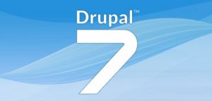 drupal 7 hosting services