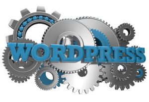wordpress developer support